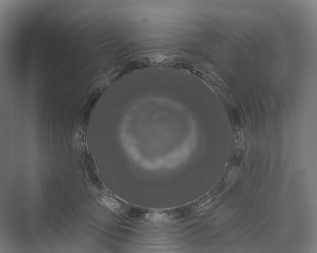 X0000069790419200606021418