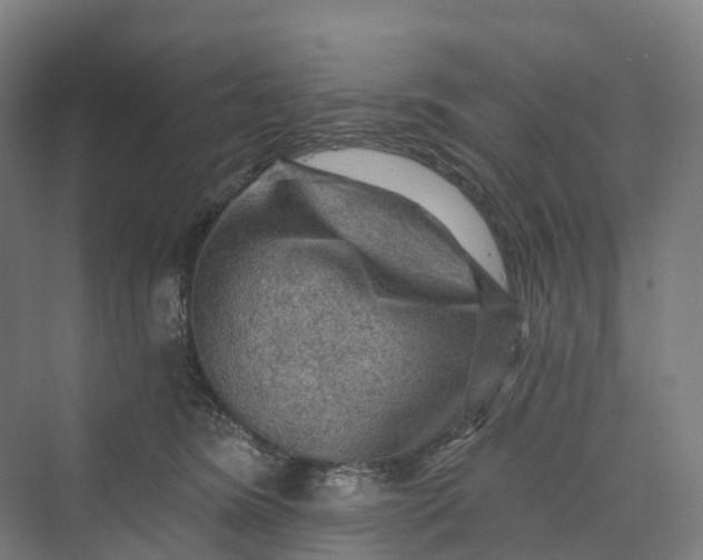 X0000069790420200606021418