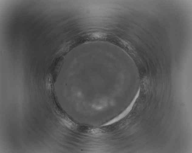 X0000069790423200606021418