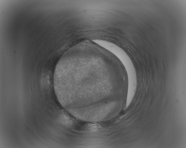 X0000069790424200606021418