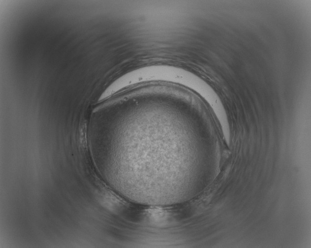 X0000069790425200606021418