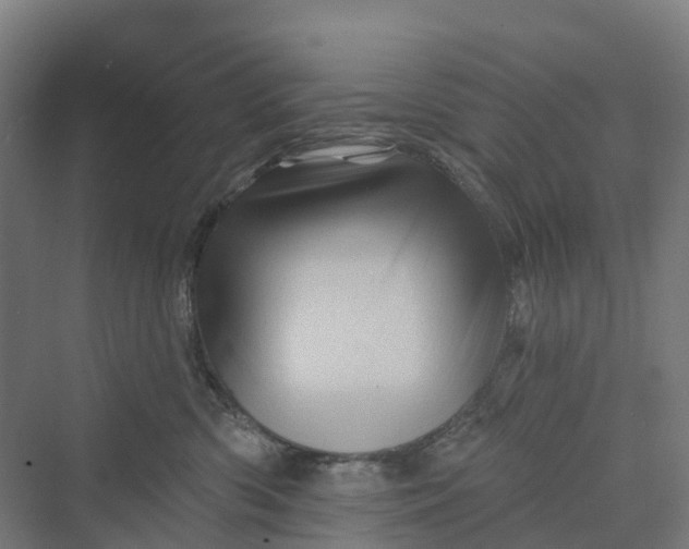 X0000069790426200606021418