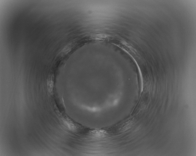 X0000069790427200606021418