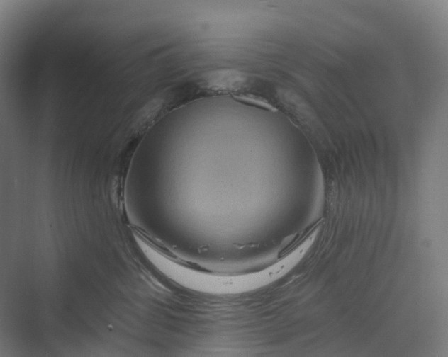 X0000069790428200606021418