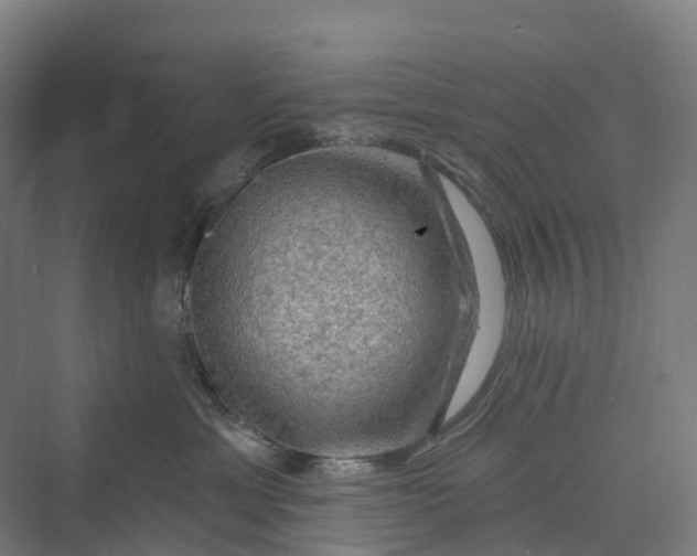 X0000069790429200606021418