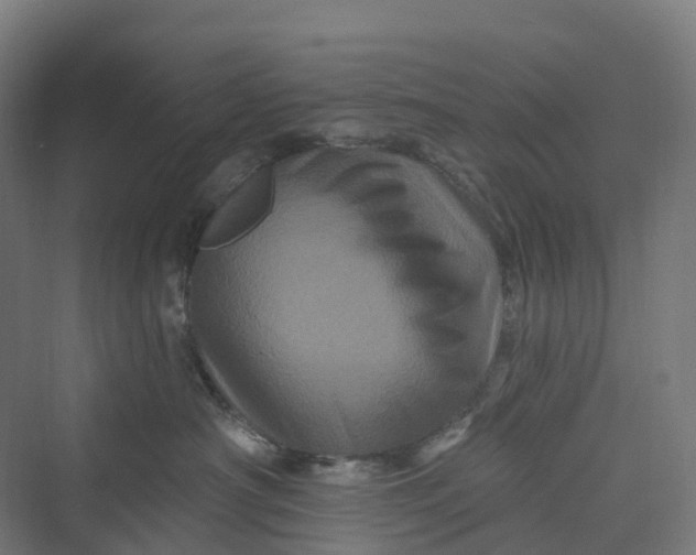 X0000069790430200606021418