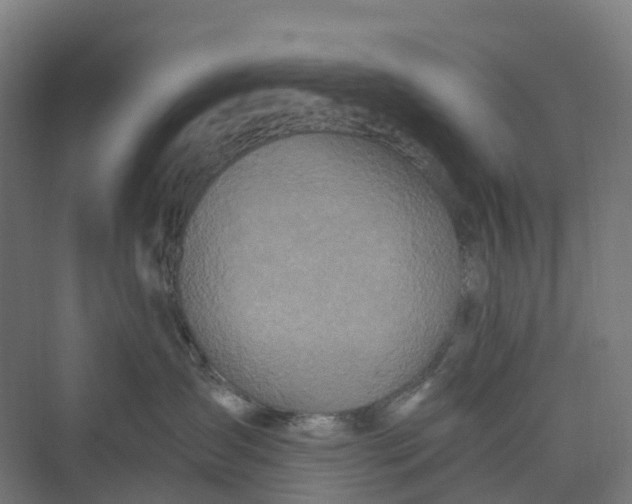 X0000069790431200606021418