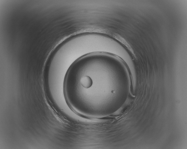 X0000069790436200606021417