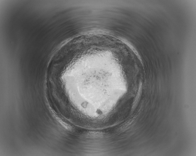 X0000069790437200606021417