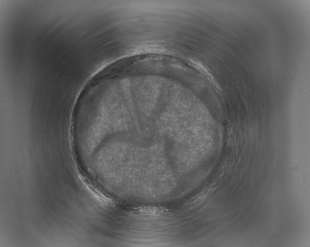 X0000069790439200606021417