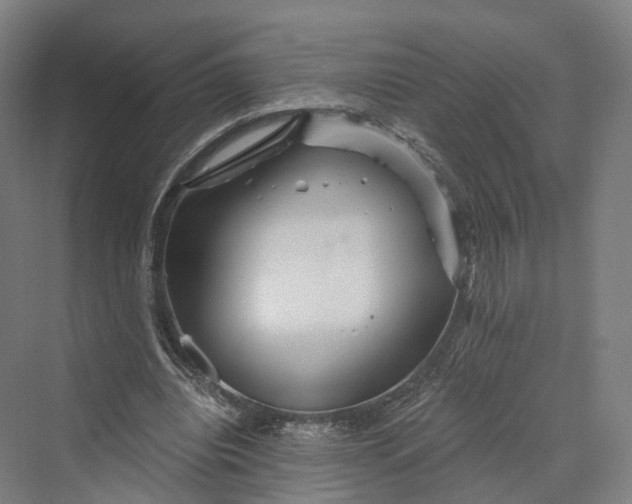 X0000069790440200606021417