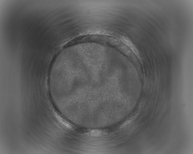 X0000069790441200606021417