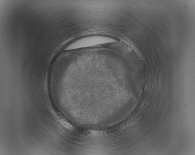 X0000069790442200606021417