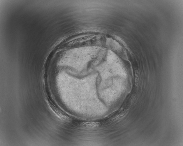 X0000069790443200606021417