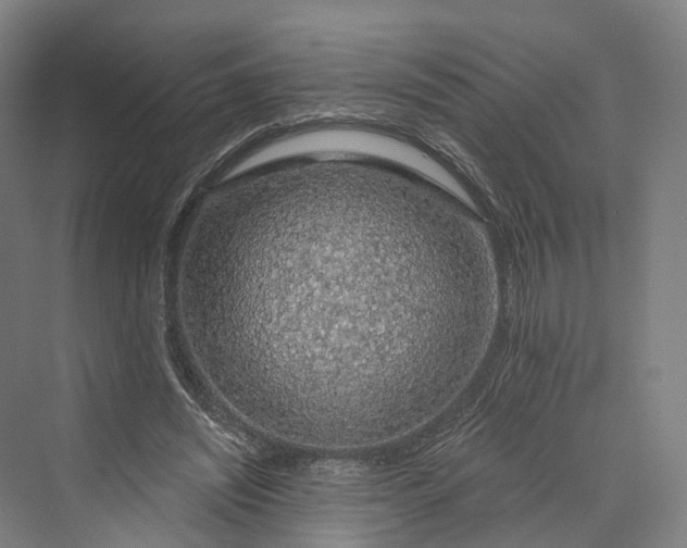 X0000069790444200606021417