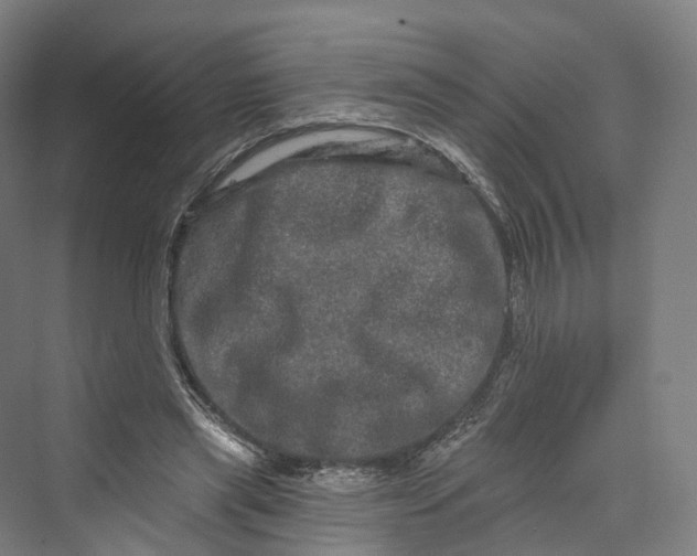 X0000069790445200606021417