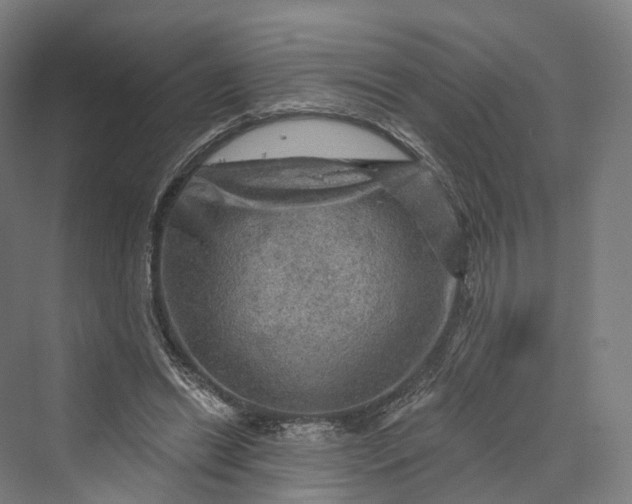 X0000069790446200606021417