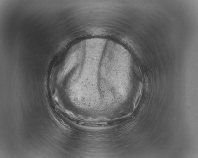 X0000069790447200606021417