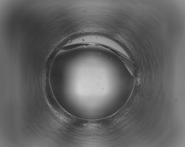 X0000069790448200606021417