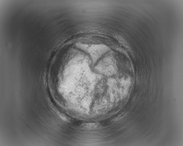 X0000069790449200606021417