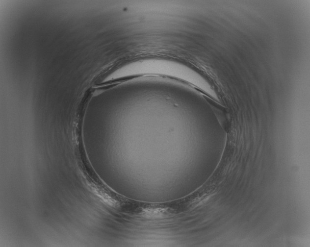 X0000069790450200606021417