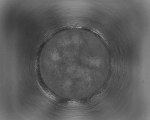 X0000069790451200606021417