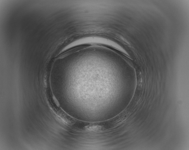 X0000069790452200606021417