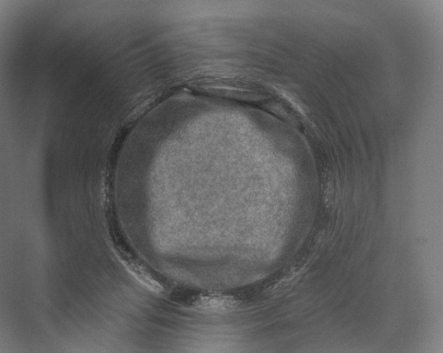 X0000069790455200606021417