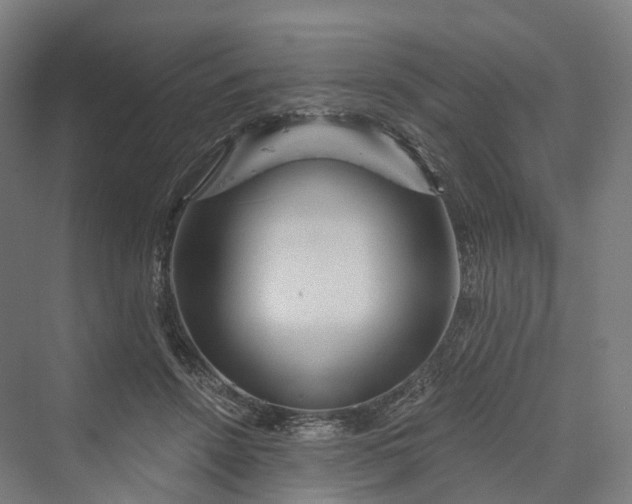 X0000069790456200606021417