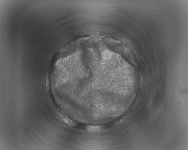 X0000069790457200606021417