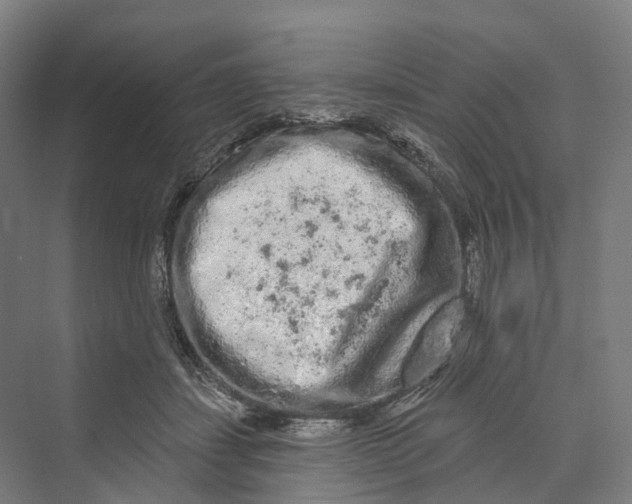 X0000069790459200606021417