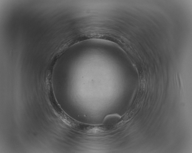 X0000069790460200606021418