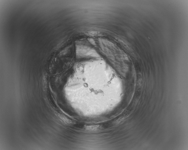 X0000069790461200606021418