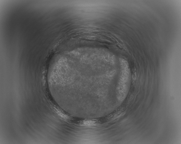 X0000069790462200606021418