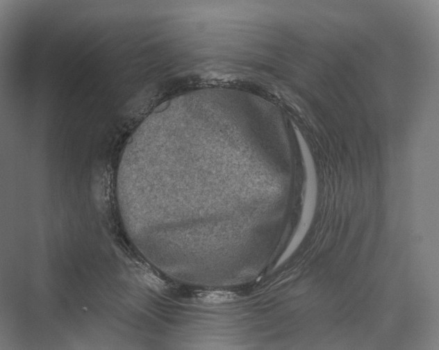 X0000069790463200606021418