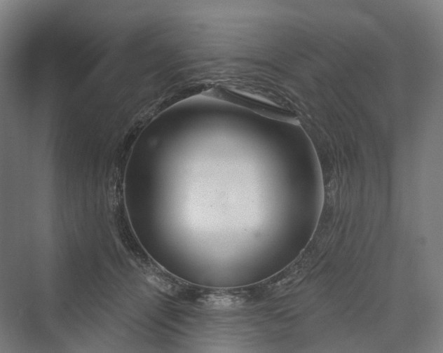 X0000069790464200606021418