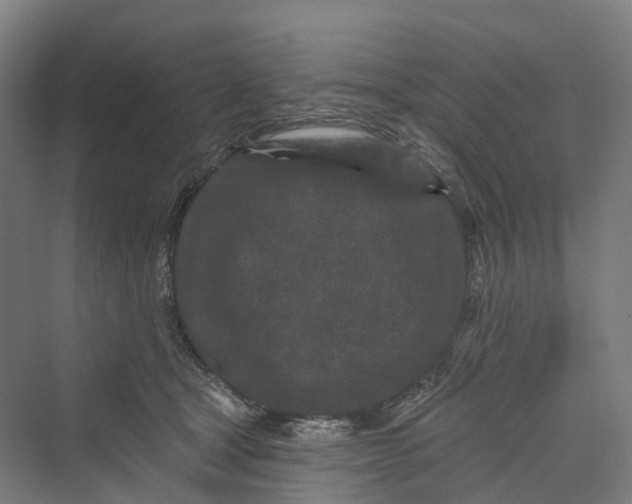 X0000069790465200606021418