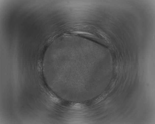 X0000069790467200606021418