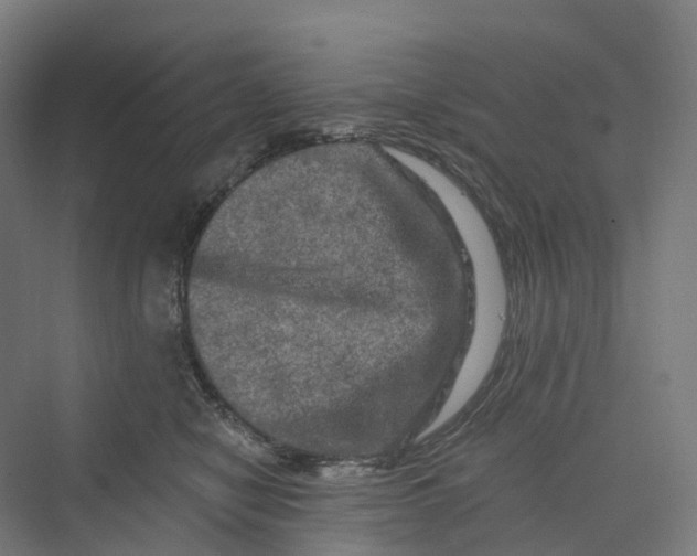 X0000069790470200606021418