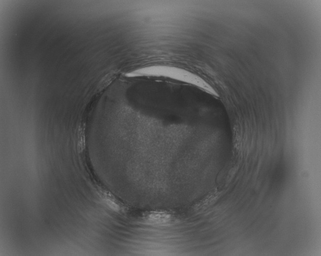 X0000069790471200606021418