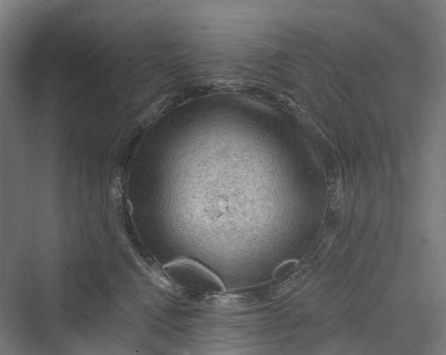 X0000069790472200606021418