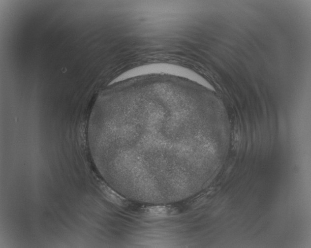 X0000069790473200606021418