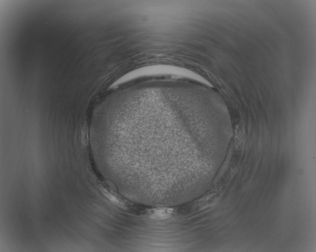 X0000069790474200606021418