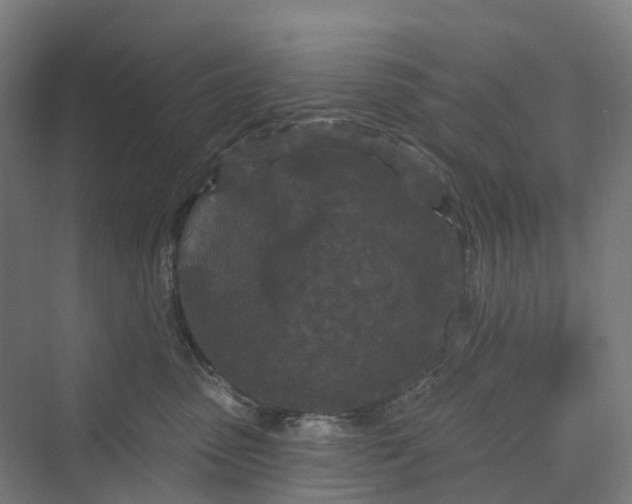 X0000069790475200606021418