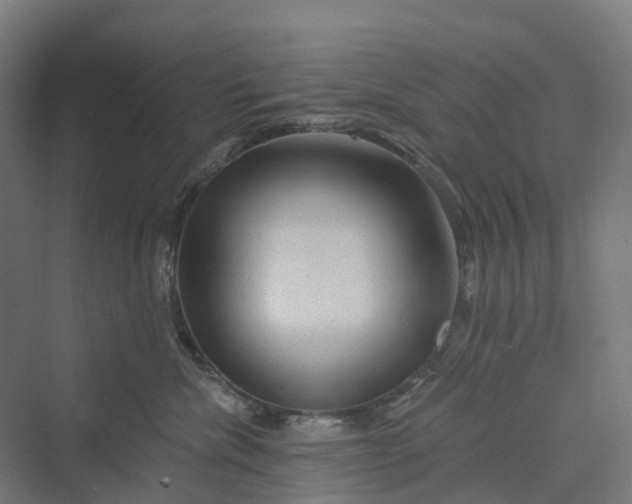 X0000069790476200606021418