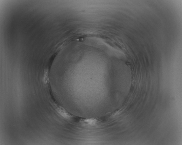 X0000069790478200606021418