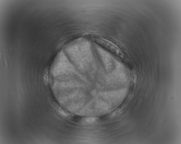 X0000069790479200606021418