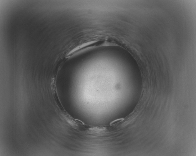 X0000069790480200606021418