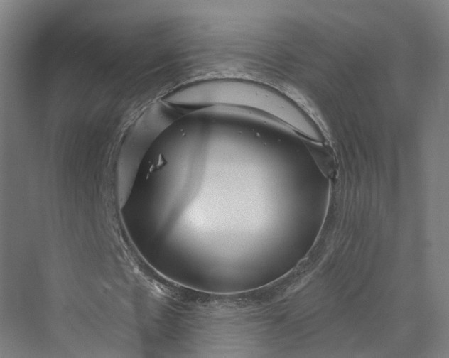 X0000069790481200606021417