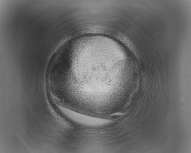 X0000069790482200606021417